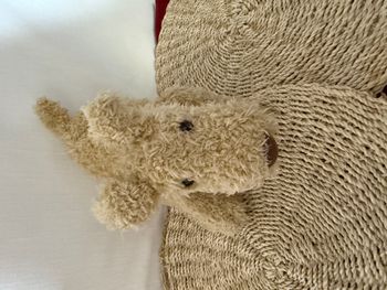 Doudou peluche chien Les Papat Histoire d'Ours