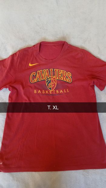 Tee shirt cavaliers