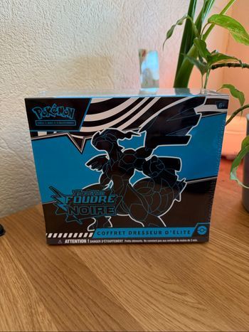ETB Foudre noire - EV10.5 FR