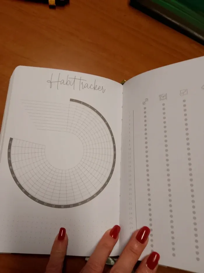 Bullet journal carnet - photo numéro 2