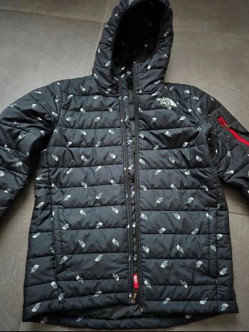 Veste the north face
