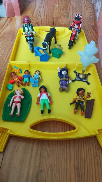 Malettes playmobil