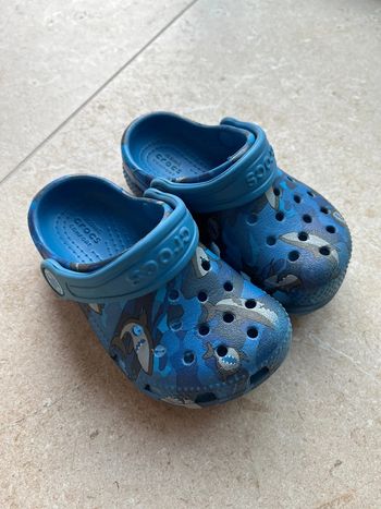 Crocs requins