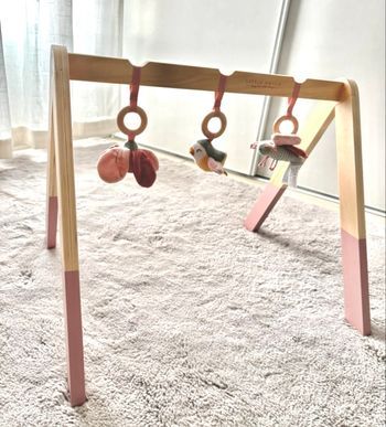 Arche d’éveil Little dutch