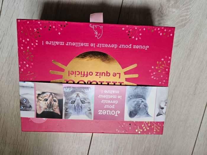 Jeu quizz Chat