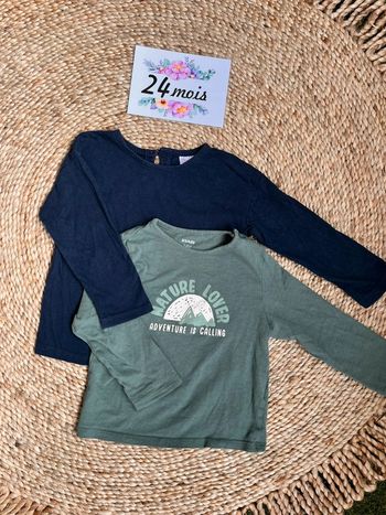 Lot teeshirt coton manches longues 2 ans