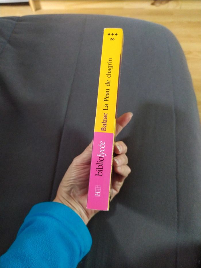 La Peau de chagrin de Balzac - photo numéro 3