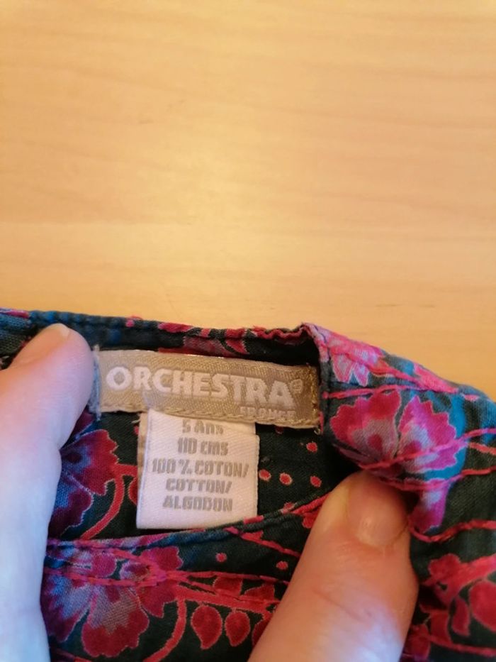 Robe Orchestra - photo numéro 3