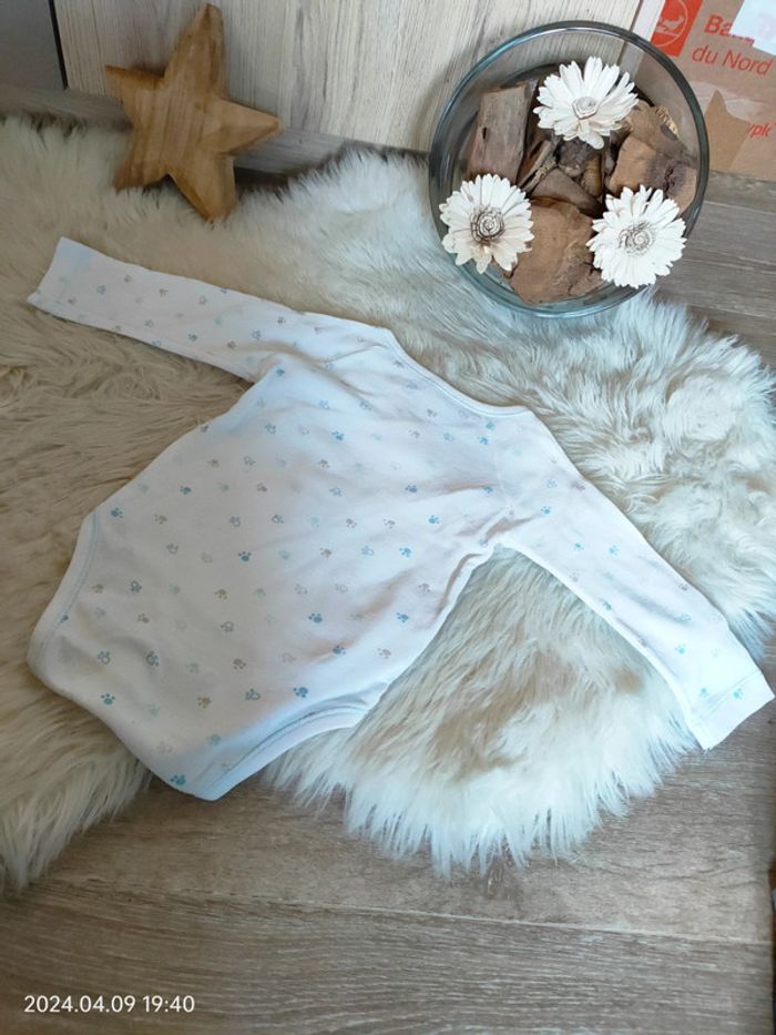 Bodie 6 mois - photo numéro 3