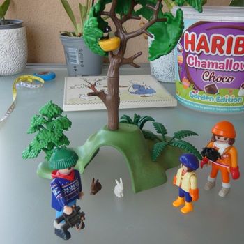 Balade en forêt playmobil (231)
