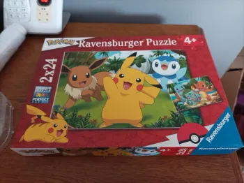 Puzzle pokémon