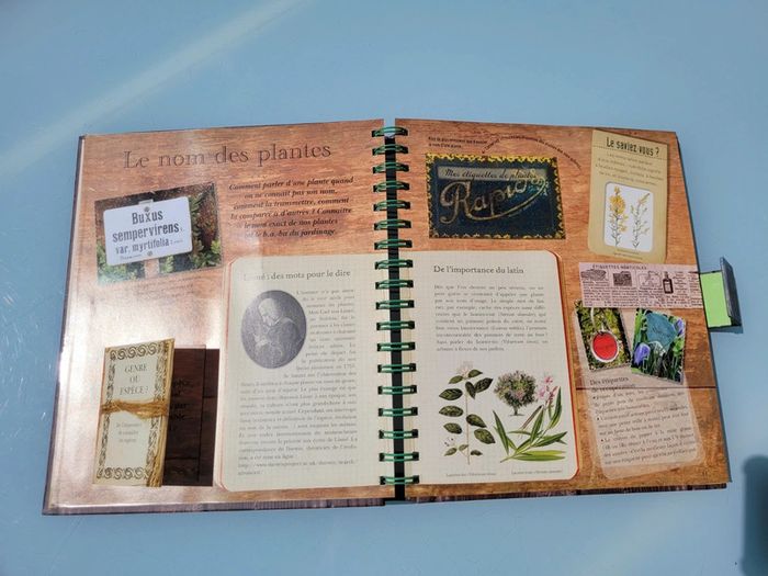 Le Carnet Jardinier, animé, Astuces et Petits secrets à cultiver 🪷 (35) - photo numéro 7