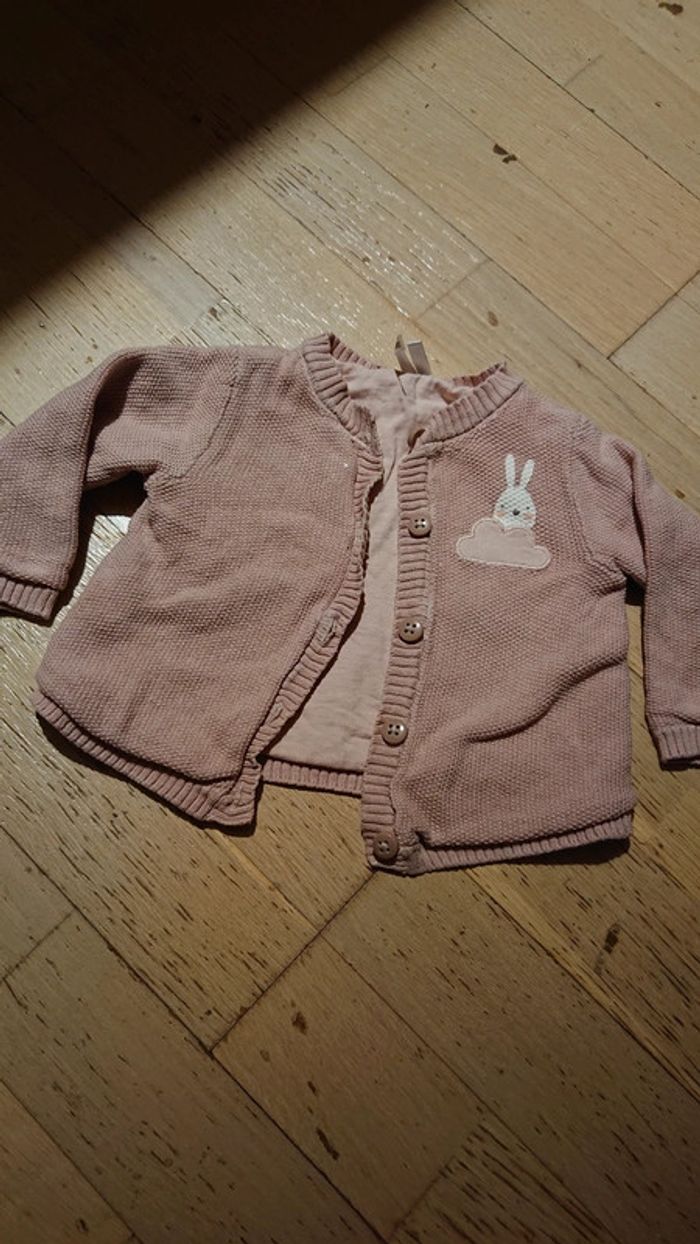 Gilet rose motif lapin