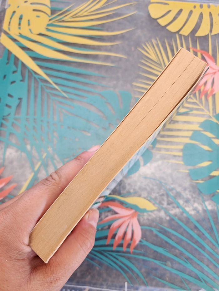 Livre de poche "jamais sans ma fille" de Betty Mahmoody - photo numéro 5