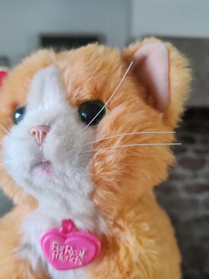 Peluche électronique Daisy mon chat joueur - furreal - photo numéro 4