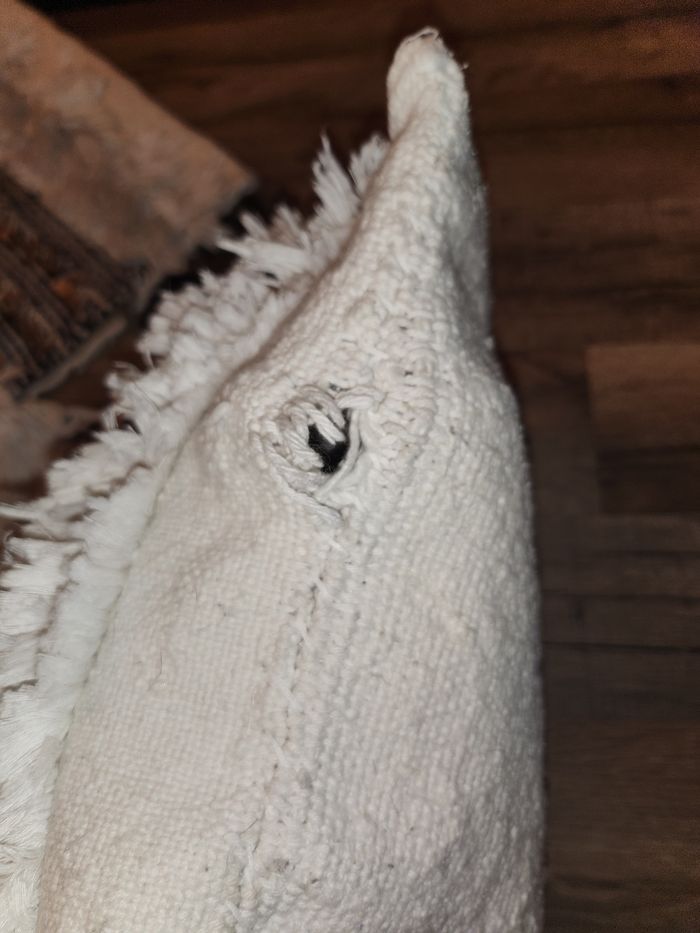 Housses de coussins - photo numéro 3