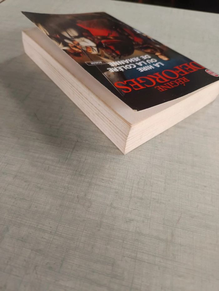 Livre la hire ou la colère de jehanne - photo numéro 3