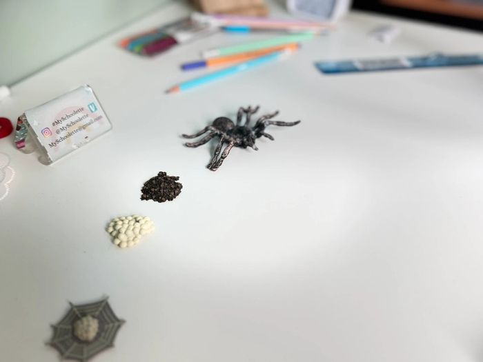 Cycle de vie: L'araignée - Lot de 4 figurines - photo numéro 4