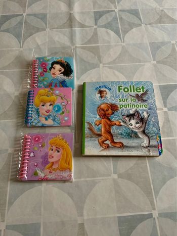 Lot livre Martine + 3 carnets de notes Disney