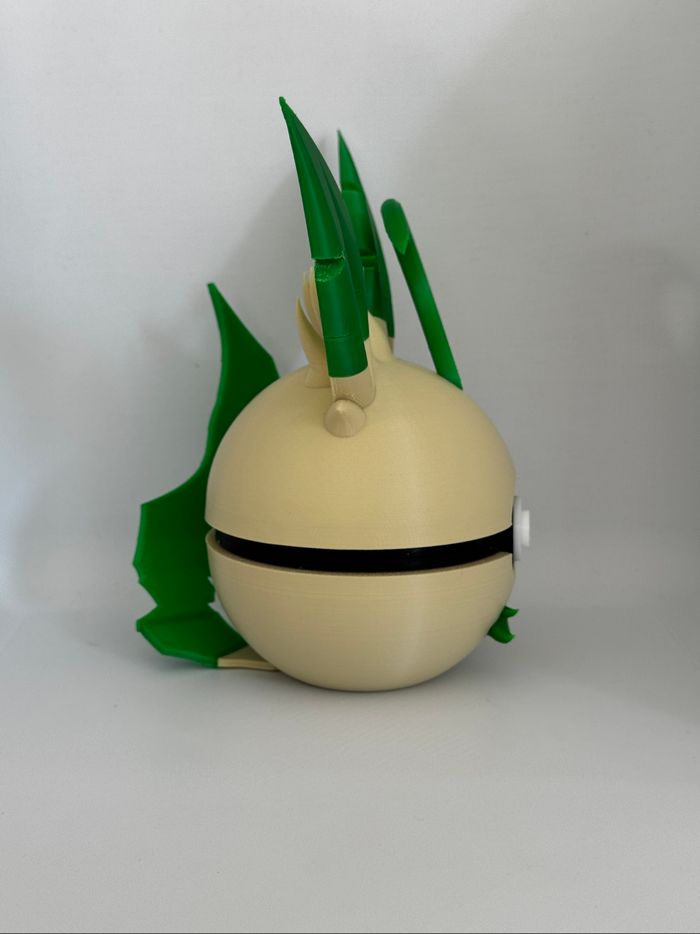 Pokeball phyllali - photo numéro 4