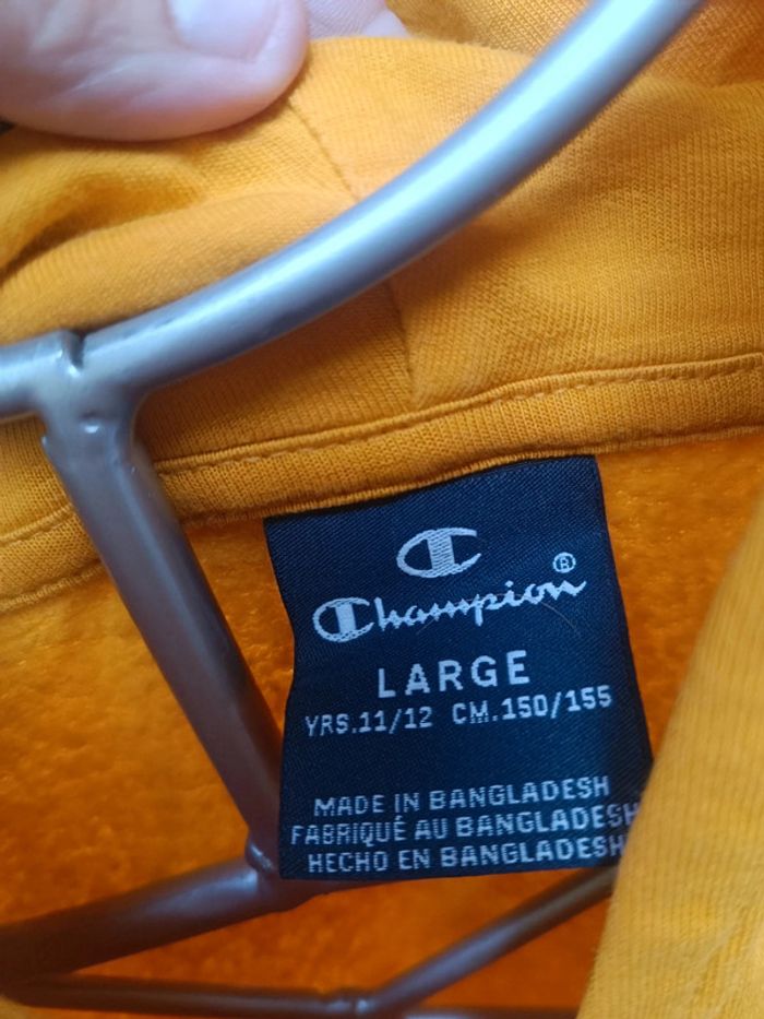 Pull champion 11/12 ans - photo numéro 4