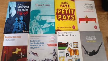 Livre collège lycee 