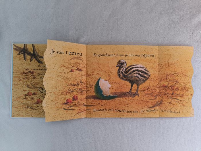 Livre À qui est cet œuf ? - photo numéro 4