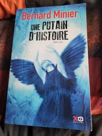 Bernard Minier une putains d histoire