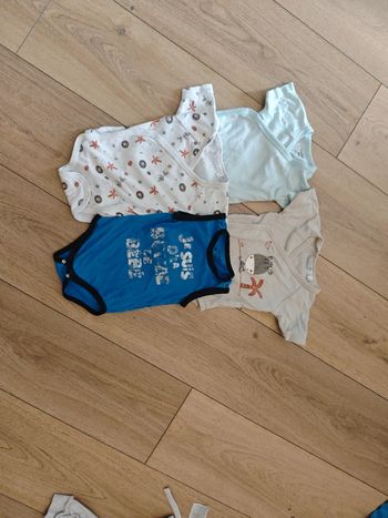 Lot 4 bodies 9 mois manches courtes