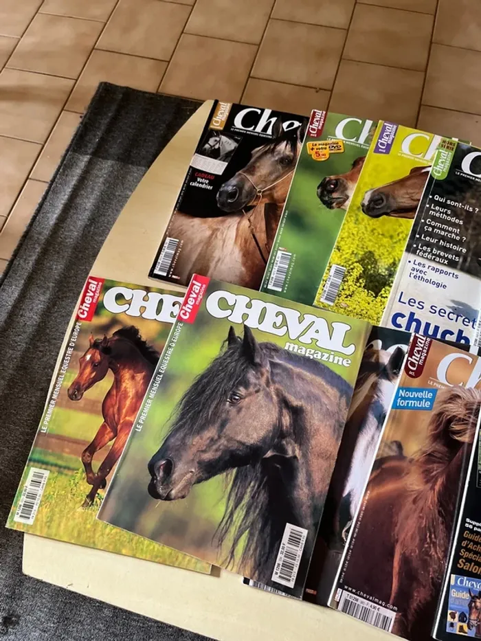 10 magazines sur les chevaux - photo numéro 4
