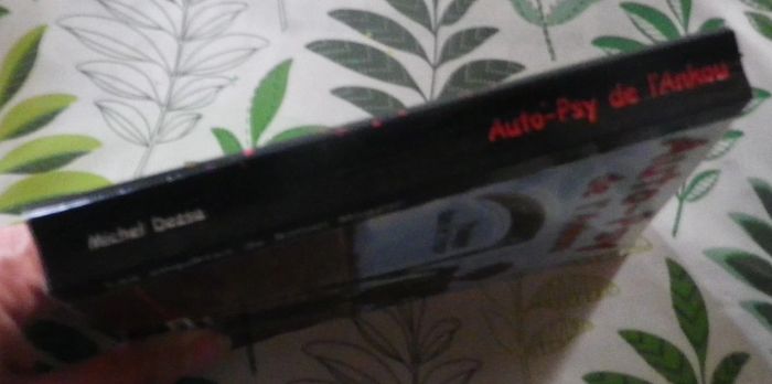 Auto-Psy de l'Ankou Panique dans le Trégor de Michel Dozsa Ed. Breizh Noir - photo numéro 3