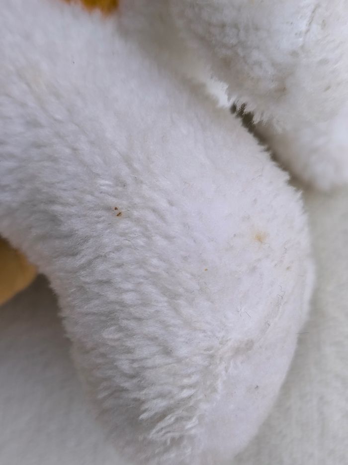 Peluche chien - photo numéro 8