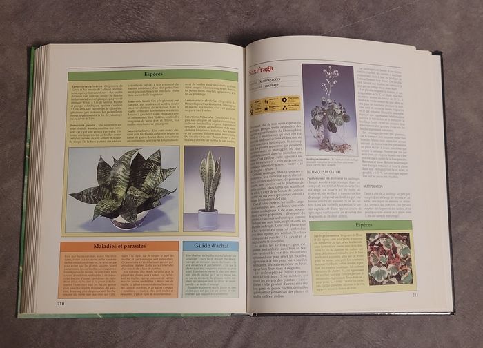 Atlas pratique des plantes d'intérieur - photo numéro 7