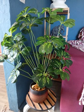 magnifique plante artificielle