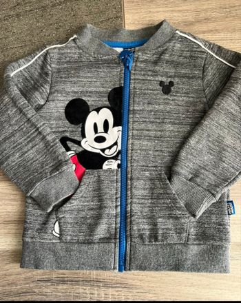 Veste sweat zippée