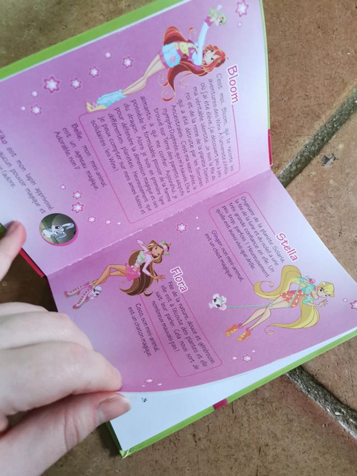 Winx Club, le secret des mini-fées - photo numéro 3