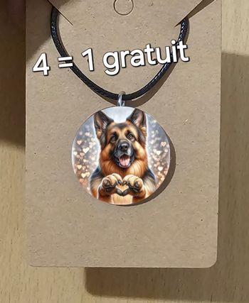 Collier chien