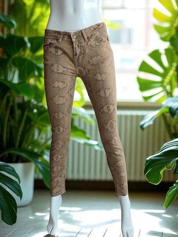 Jean reptile Rosw 36