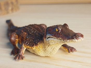 PAPO crocodile Alligator Figurine animal de la savane