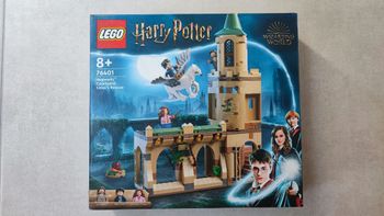 Lego Harry Potter 76401 Le sauvetage de Sirius