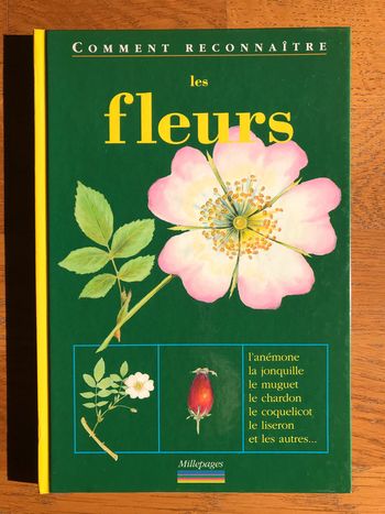 Les Fleurs - collection « Comment reconnaître »
