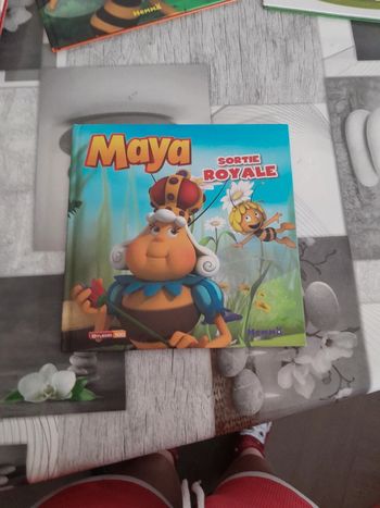 Livre Maya sortie royale
