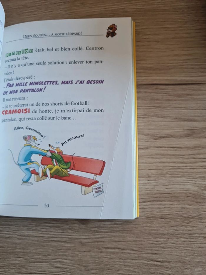 Livre Finale de foot à Sourissia - photo numéro 6