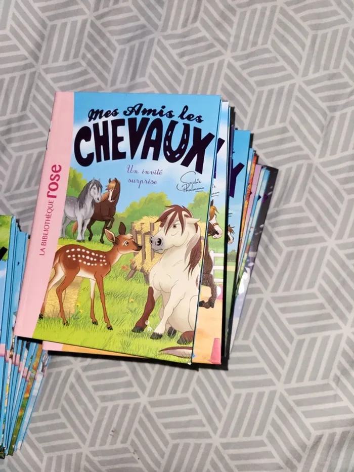 collection Mes amis les chevaux - photo numéro 10