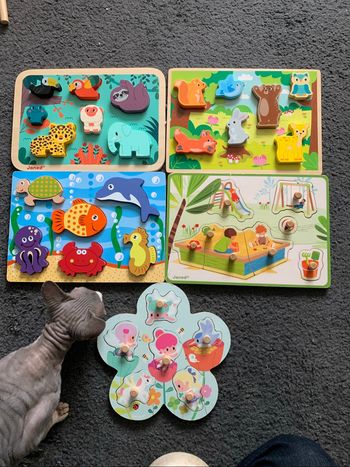 Lot de 5 puzzles en bois