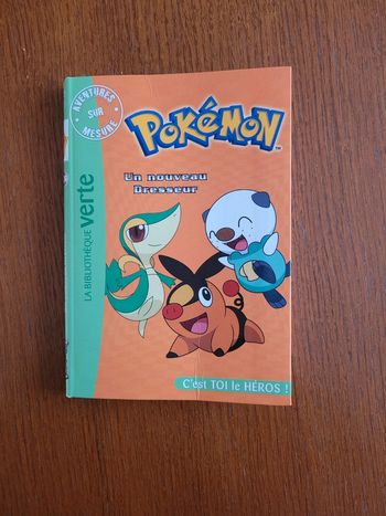 Livre Pokemon Un nouveau héros