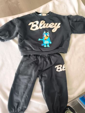 Ensemble bluey
