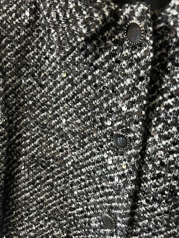 Blazer chic - photo numéro 2