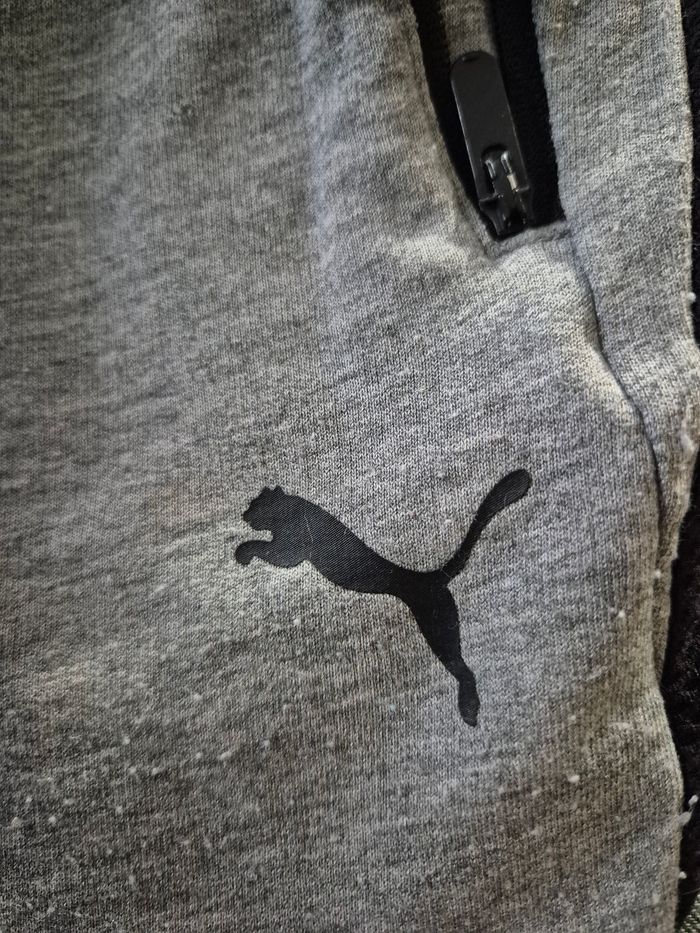 Short gris Puma - photo numéro 6
