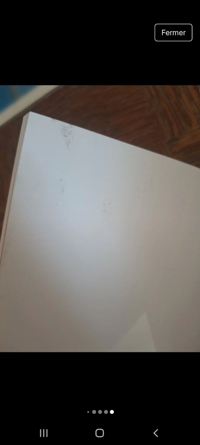 Pokemon noir et blanc tome 2 - photo numéro 10